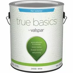 True Basics By Valspar Flat Exterior House Paint, 1 Gal., White