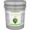 True Basics By Valspar Satin Exterior Paint, 5 Gal., Clear Base -Home renovation store ItemImage 776602 7t349jcr4bcgcfjjn5rqqhz